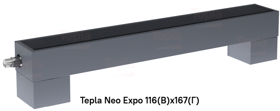 Tepla Neo Expo 116(В) x 167(Г), RAL 7024