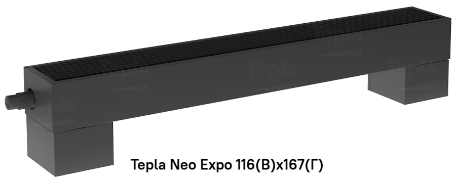 Tepla Neo Expo 116(В) x 167(Г), RAL 9005
